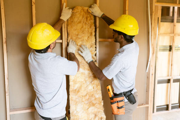 Best Professional Insulation Contractor  in Five Corners, WA